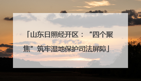 山东日照经开区：“四个聚焦”筑牢湿地保护司法屏障