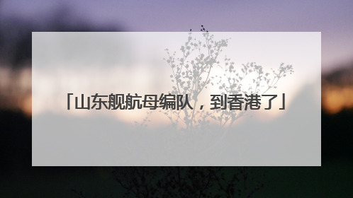 山东舰航母编队，到香港了