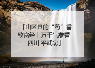 山区县的“药”香致富经丨万千气象看四川·平武③