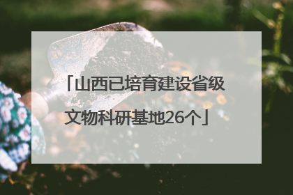 山西已培育建设省级文物科研基地26个