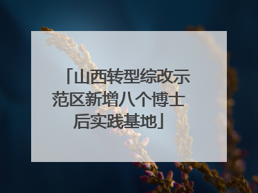 山西转型综改示范区新增八个博士后实践基地