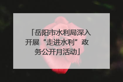岳阳市水利局深入开展“走进水利”政务公开月活动