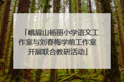 峨眉山杨丽小学语文工作室与刘春梅学前工作室开展联合教研活动