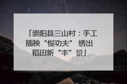 崇阳县三山村：手工插秧“慢功夫” 绣出稻田新“丰”景