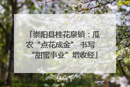 崇阳县桂花泉镇：瓜农“点花成金” 书写“甜蜜事业”增收经