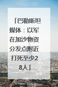 巴勒斯坦媒体：以军在加沙物资分发点附近打死至少28人