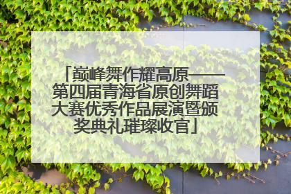 巅峰舞作耀高原——第四届青海省原创舞蹈大赛优秀作品展演暨颁奖典礼璀璨收官