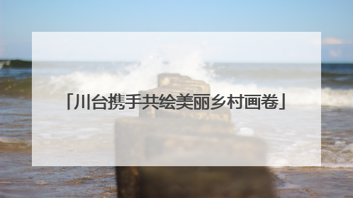 川台携手共绘美丽乡村画卷