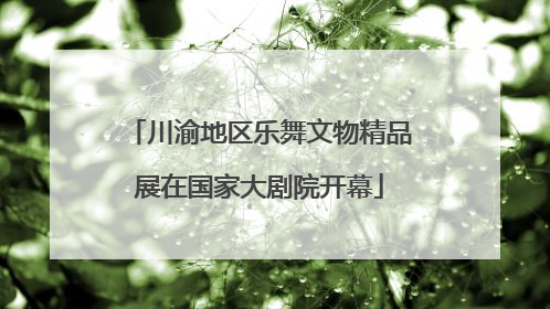 川渝地区乐舞文物精品展在国家大剧院开幕