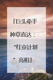 巨头牵手种草直达：“红京计划”亮相