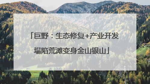 巨野：生态修复+产业开发 塌陷荒滩变身金山银山