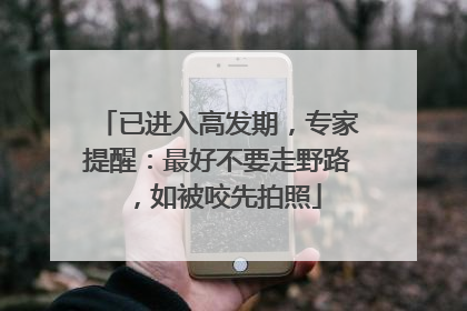 已进入高发期，专家提醒：最好不要走野路，如被咬先拍照