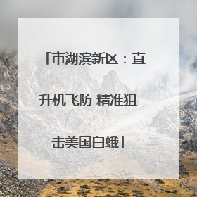 市湖滨新区：直升机飞防 精准狙击美国白蛾