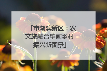 市湖滨新区：农文旅融合擘画乡村振兴新图景
