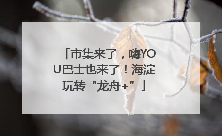 市集来了，嗨YOU巴士也来了！海淀玩转“龙舟+”