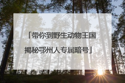 带你到野生动物王国揭秘鄂州人专属暗号