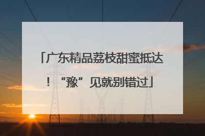 广东精品荔枝甜蜜抵达！“豫”见就别错过