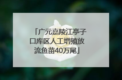 广元嘉陵江亭子口库区人工增殖放流鱼苗40万尾