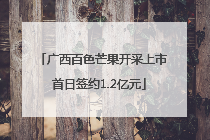 广西百色芒果开采上市 首日签约1.2亿元