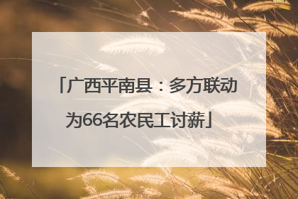 广西平南县：多方联动为66名农民工讨薪
