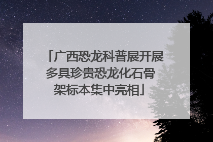 广西恐龙科普展开展 多具珍贵恐龙化石骨架标本集中亮相