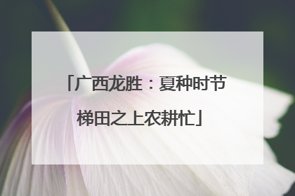 广西龙胜：夏种时节 梯田之上农耕忙