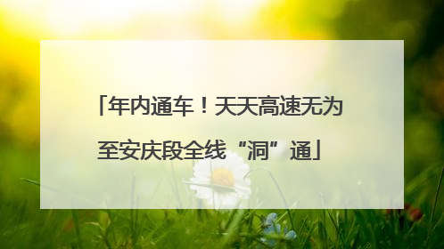 年内通车！天天高速无为至安庆段全线“洞”通