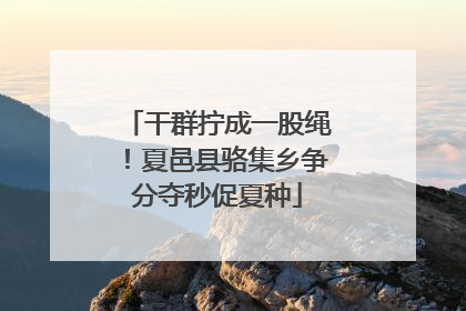 干群拧成一股绳！夏邑县骆集乡争分夺秒促夏种