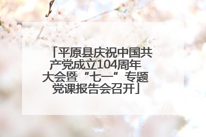 平原县庆祝中国共产党成立104周年大会暨“七一”专题党课报告会召开