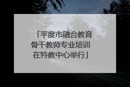 平度市融合教育骨干教师专业培训在特教中心举行