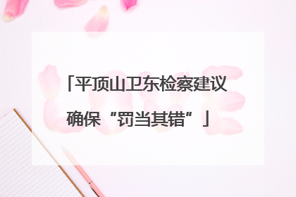 平顶山卫东检察建议确保“罚当其错”