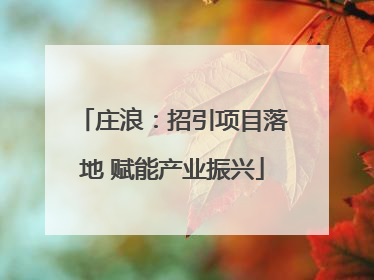 庄浪：招引项目落地 赋能产业振兴