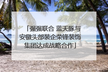强强联合 蓝天豚与安徽头部装企荣锋装饰集团达成战略合作