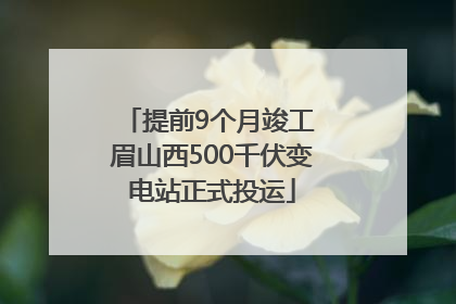 提前9个月竣工 眉山西500千伏变电站正式投运