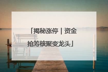 揭秘涨停｜资金抢筹核聚变龙头