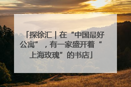 探徐汇｜在“中国最好公寓”，有一家盛开着“上海玫瑰”的书店