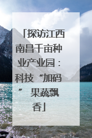 探访江西南昌千亩种业产业园：科技“加码” 果蔬飘香
