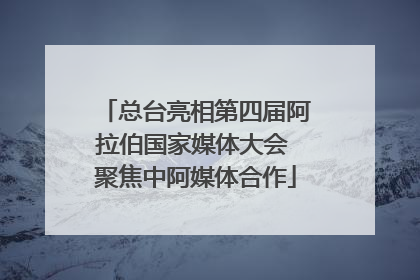 总台亮相第四届阿拉伯国家媒体大会 聚焦中阿媒体合作