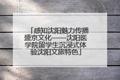 感知沈阳魅力传播盛京文化——沈阳医学院留学生沉浸式体验沈阳文旅特色