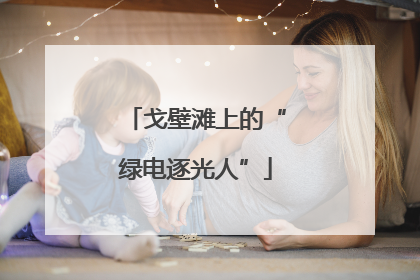 戈壁滩上的“绿电逐光人”