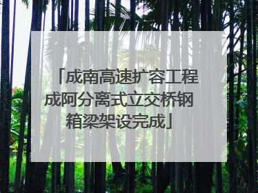 成南高速扩容工程成阿分离式立交桥钢箱梁架设完成