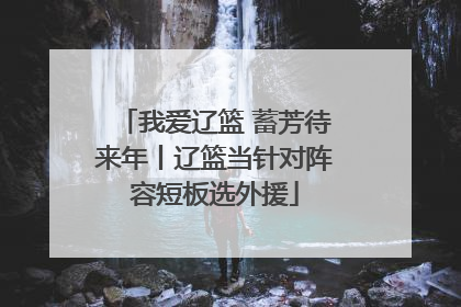 我爱辽篮 蓄芳待来年丨辽篮当针对阵容短板选外援