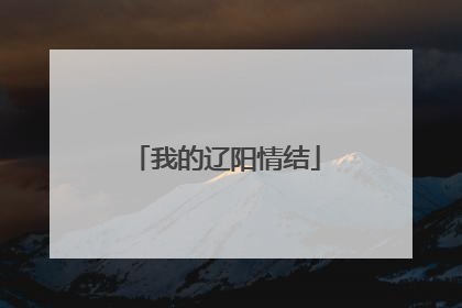 我的辽阳情结