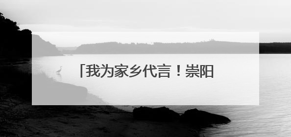 我为家乡代言！崇阳评选一批“小小推介官”“红领巾讲解员”