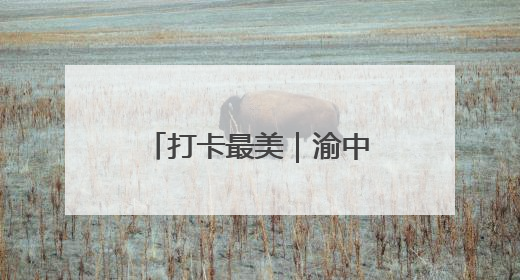 打卡最美｜渝中区红岩村社区：以“时间银行”激活垃圾分类新动能