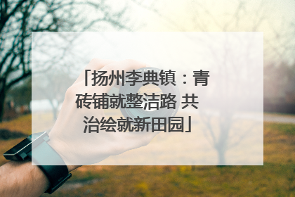 扬州李典镇：青砖铺就整洁路 共治绘就新田园