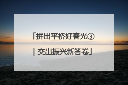 拼出平桥好春光③｜交出振兴新答卷