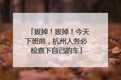 拔掉！拔掉！今天下班前，杭州人务必检查下自己的车