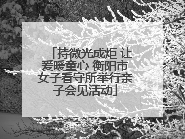 持微光成炬 让爱暖童心 衡阳市女子看守所举行亲子会见活动