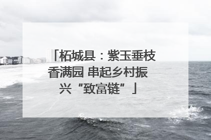 柘城县：紫玉垂枝香满园 串起乡村振兴“致富链”